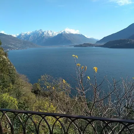 Il Terrazzino * ムッソ